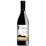Vinho Chileno Valle Hermoso Pinot Noir Tinto Seco 750ml