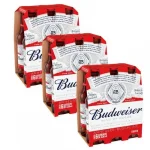 Combo Budweiser 330ml 18un.