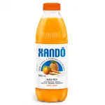 Suco Mix Xand 900ml