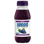 Suco de Uva Xand 300ml