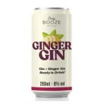Gin Ginger Easy Booze 269ml