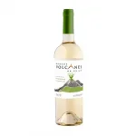 Vinho Chileno Branco do Chile Reserva Sauvignon Blanc Volcanes 750ml
