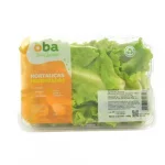 Escarolas Higienizada Oba Bem Querer Bandeja 140g
