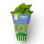 Espinafre Hidropnico Oba Bem Querer Unidade