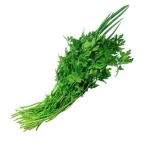 Salsinha e Cebolinha Hidropnica Oba Bem Querer