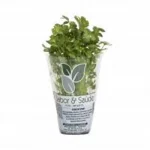 Ervas Aromatica Pt13 Sabor e Sade