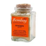 Especiarias Bombay Gengibre em P Vidro 60g