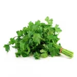 Especiarias Coentro Unid 1u