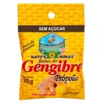 Bala Api Nutre Gengibre Propolis Zero Acucar 45g